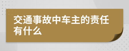 交通事故中车主的责任有什么