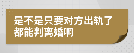 是不是只要对方出轨了都能判离婚啊