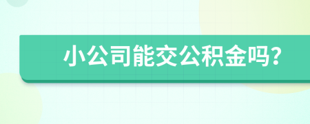 小公司能交公积金吗？