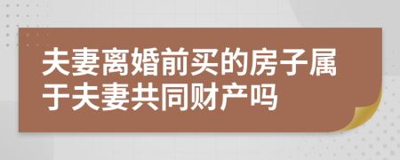 夫妻离婚前买的房子属于夫妻共同财产吗