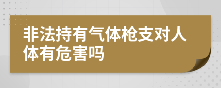 非法持有气体枪支对人体有危害吗