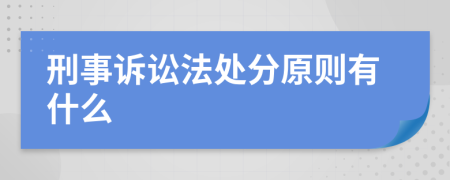 刑事诉讼法处分原则有什么