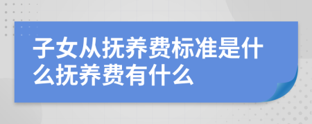子女从抚养费标准是什么抚养费有什么