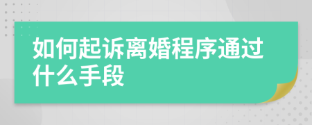 如何起诉离婚程序通过什么手段