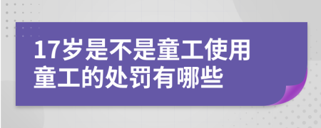 17岁是不是童工使用童工的处罚有哪些