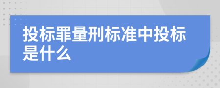 投标罪量刑标准中投标是什么