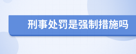 刑事处罚是强制措施吗