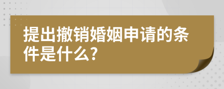 提出撤销婚姻申请的条件是什么?