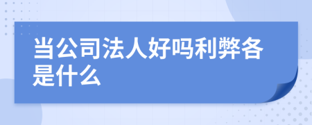 当公司法人好吗利弊各是什么