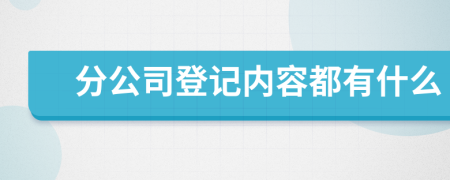 分公司登记内容都有什么