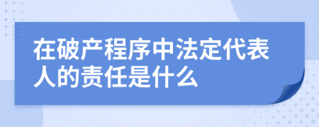 在破产程序中法定代表人的责任是什么