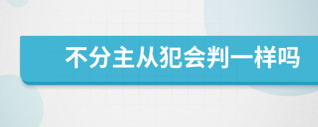 不分主从犯会判一样吗