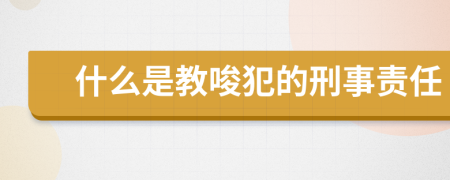 什么是教唆犯的刑事责任
