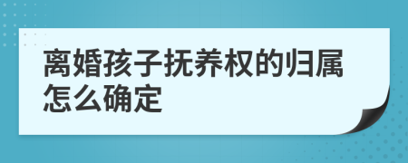 离婚孩子抚养权的归属怎么确定