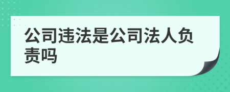 公司违法是公司法人负责吗