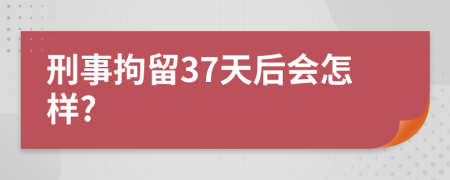 刑事拘留37天后会怎样?