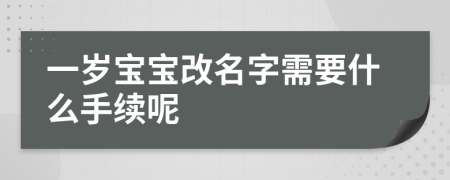 一岁宝宝改名字需要什么手续呢