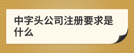 中字头公司注册要求是什么