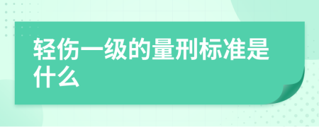 轻伤一级的量刑标准是什么