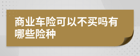 商业车险可以不买吗有哪些险种