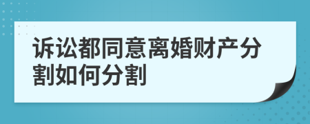 诉讼都同意离婚财产分割如何分割