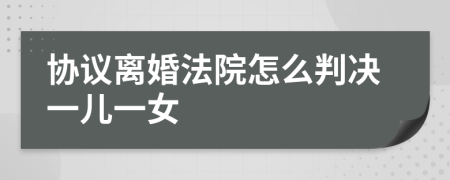 协议离婚法院怎么判决一儿一女