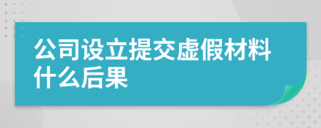 公司设立提交虚假材料什么后果