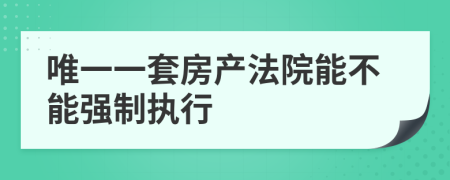 唯一一套房产法院能不能强制执行