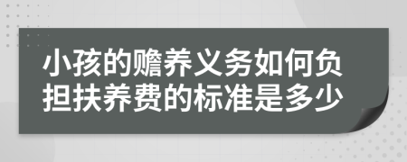 小孩的赡养义务如何负担扶养费的标准是多少