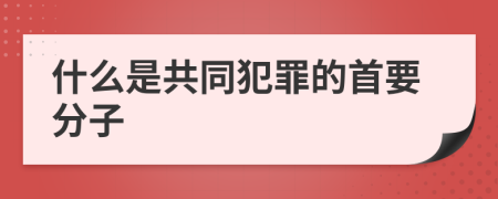 什么是共同犯罪的首要分子