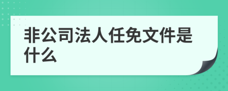 非公司法人任免文件是什么