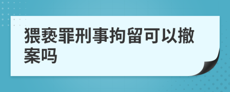 猥亵罪刑事拘留可以撤案吗