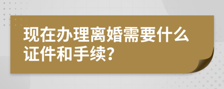 现在办理离婚需要什么证件和手续？