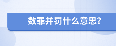 数罪并罚什么意思？