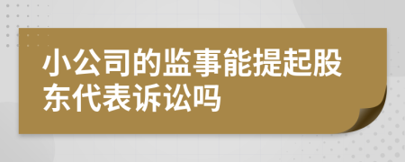 小公司的监事能提起股东代表诉讼吗