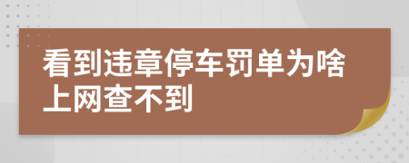 看到违章停车罚单为啥上网查不到