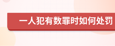 一人犯有数罪时如何处罚