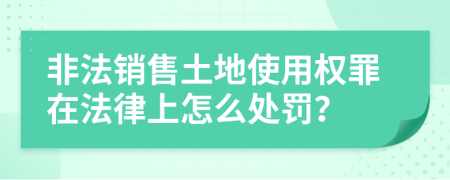 非法销售土地使用权罪在法律上怎么处罚？