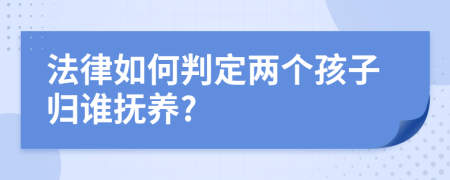 法律如何判定两个孩子归谁抚养?