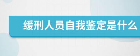 缓刑人员自我鉴定是什么