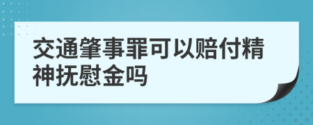 交通肇事罪可以赔付精神抚慰金吗