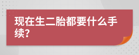 现在生二胎都要什么手续？