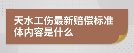 天水工伤最新赔偿标准体内容是什么