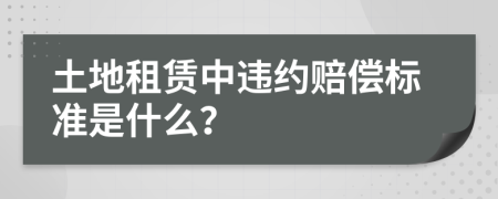 土地租赁中违约赔偿标准是什么？