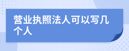 营业执照法人可以写几个人