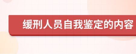 缓刑人员自我鉴定的内容