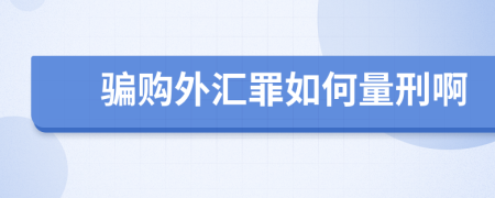 骗购外汇罪如何量刑啊