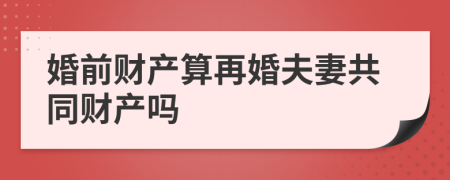 婚前财产算再婚夫妻共同财产吗