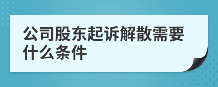 公司股东起诉解散需要什么条件