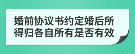 婚前协议书约定婚后所得归各自所有是否有效